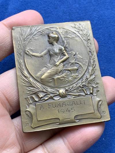 《竞宝斋》第441场 周日，周一，2场连拍 （全场包邮） - 法国排水与卫生设施承包商工会纪念铜章 带盒 74克 45.8*59.6mm