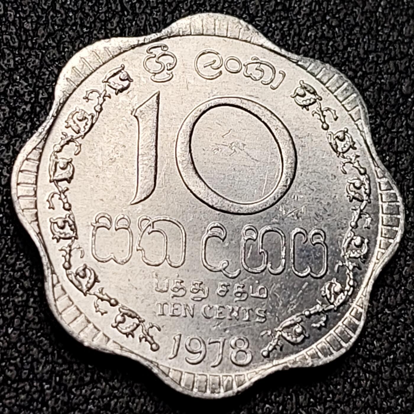 泉币菌-第136场-精品福利场（之前场次29日、30日发货，敬请谅解） 。