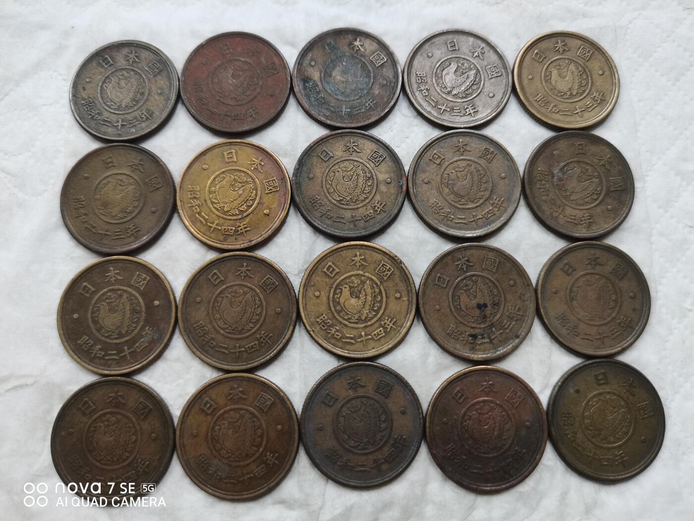 日本币 日本五丹20枚
