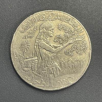 回流1123 - 突尼斯2011年1第纳尔FAO纪念币 