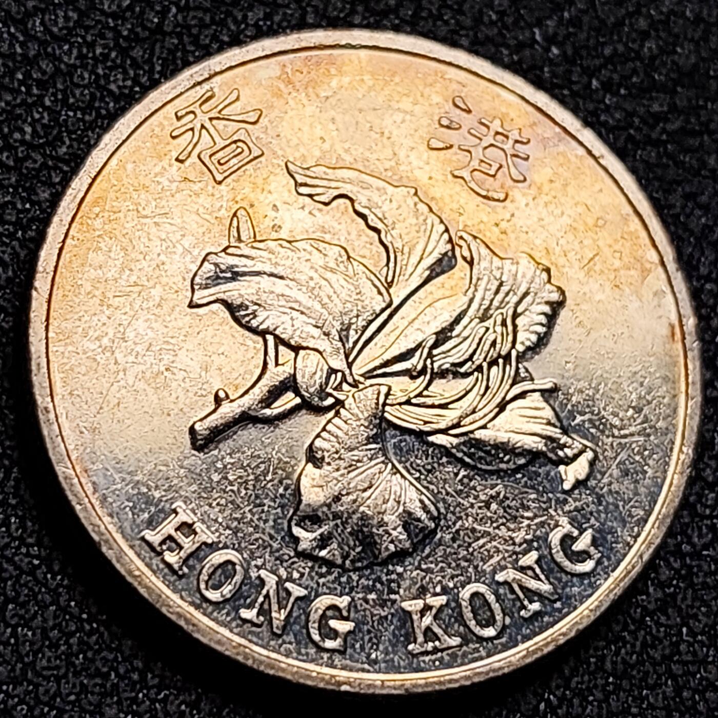 泉币菌-第137场-精品福利场（之前场次29日、30日发货，敬请谅解） 。