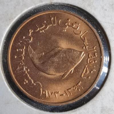 沼泽如烟--第913场 - 阿联酋