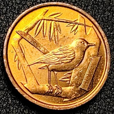 泉币菌-第137场-精品福利场（之前场次29日、30日发货，敬请谅解） - 。