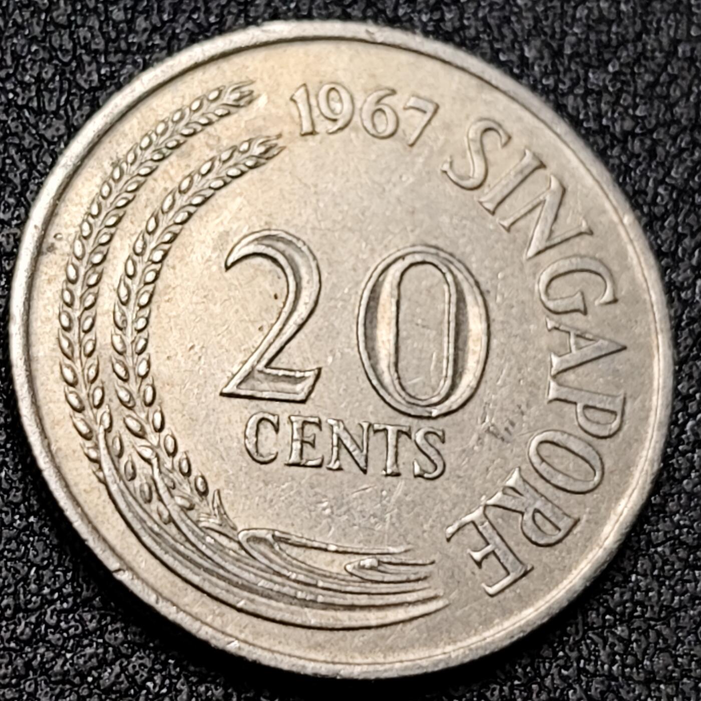 泉币菌-第138场-精品福利场（之前场次29日、30日发货，敬请谅解） 。