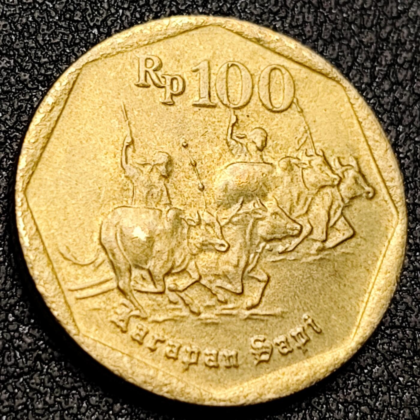 泉币菌-第137场-精品福利场（之前场次29日、30日发货，敬请谅解） 。