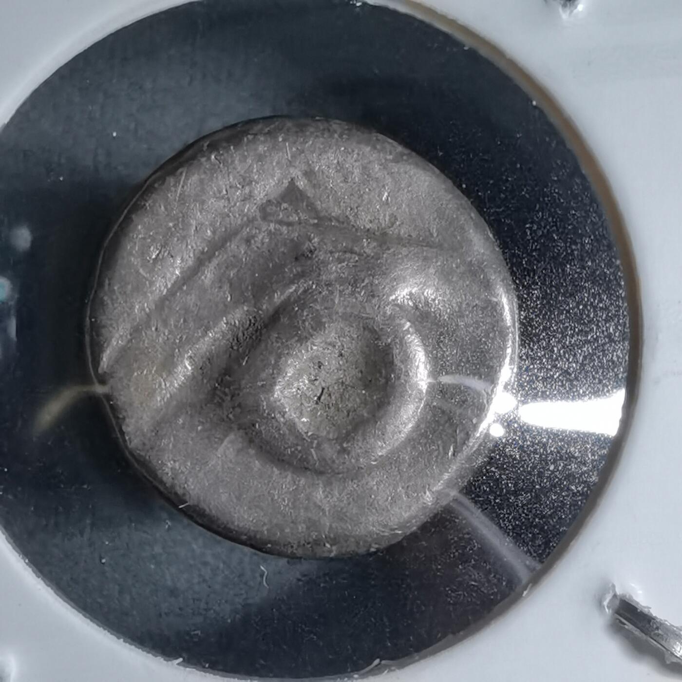 沼泽如烟--第913场 三佛齐王国银币