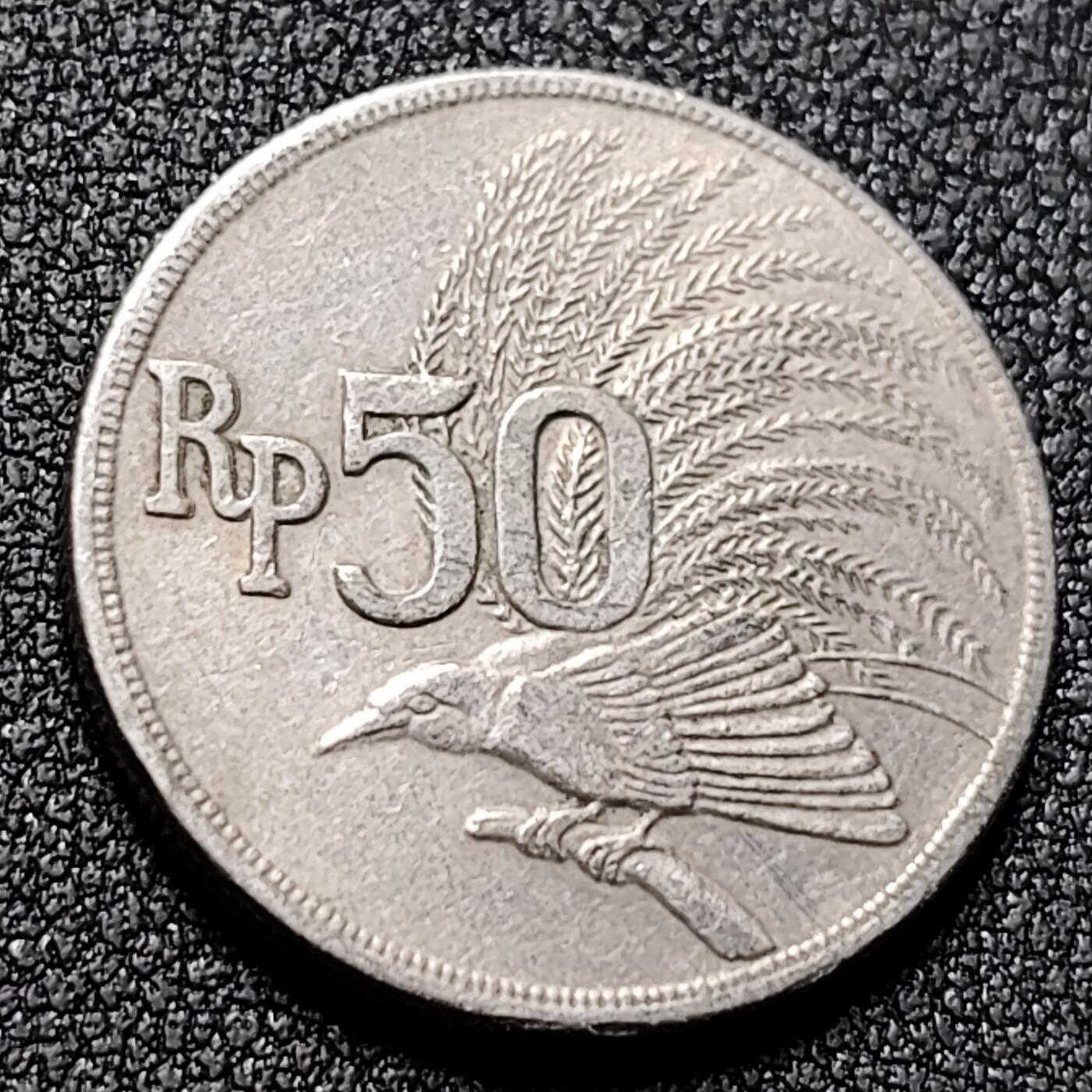 泉币菌-第137场-精品福利场（之前场次29日、30日发货，敬请谅解） 。