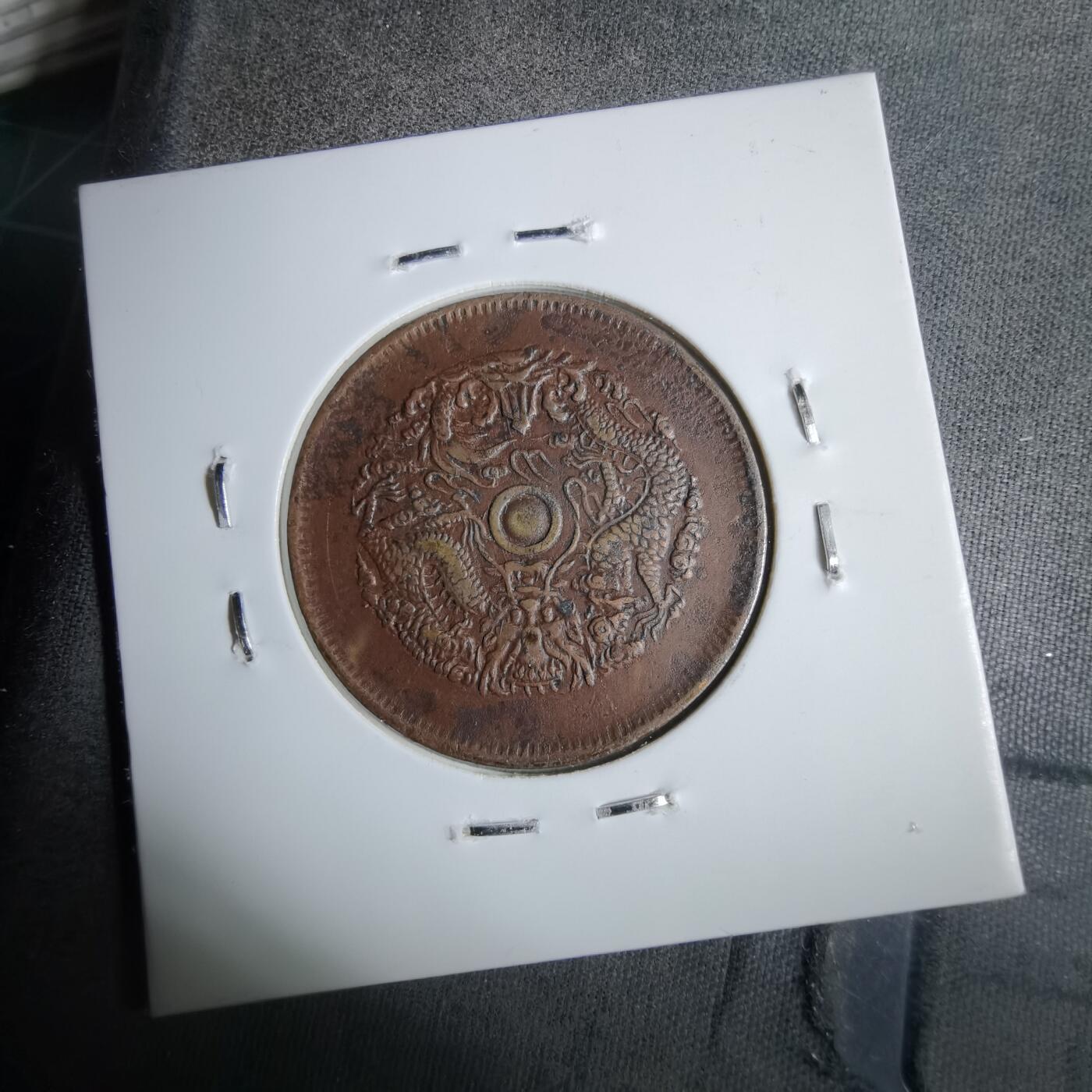 沼泽如烟--第913场 浙江六瓣花水龙