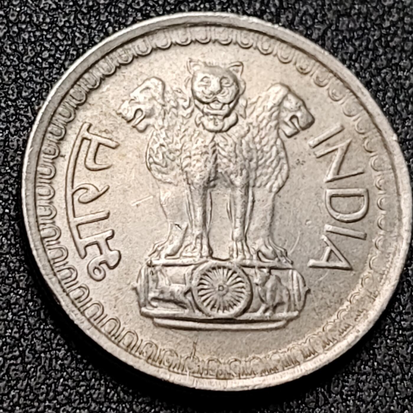 泉币菌-第137场-精品福利场（之前场次29日、30日发货，敬请谅解） 。