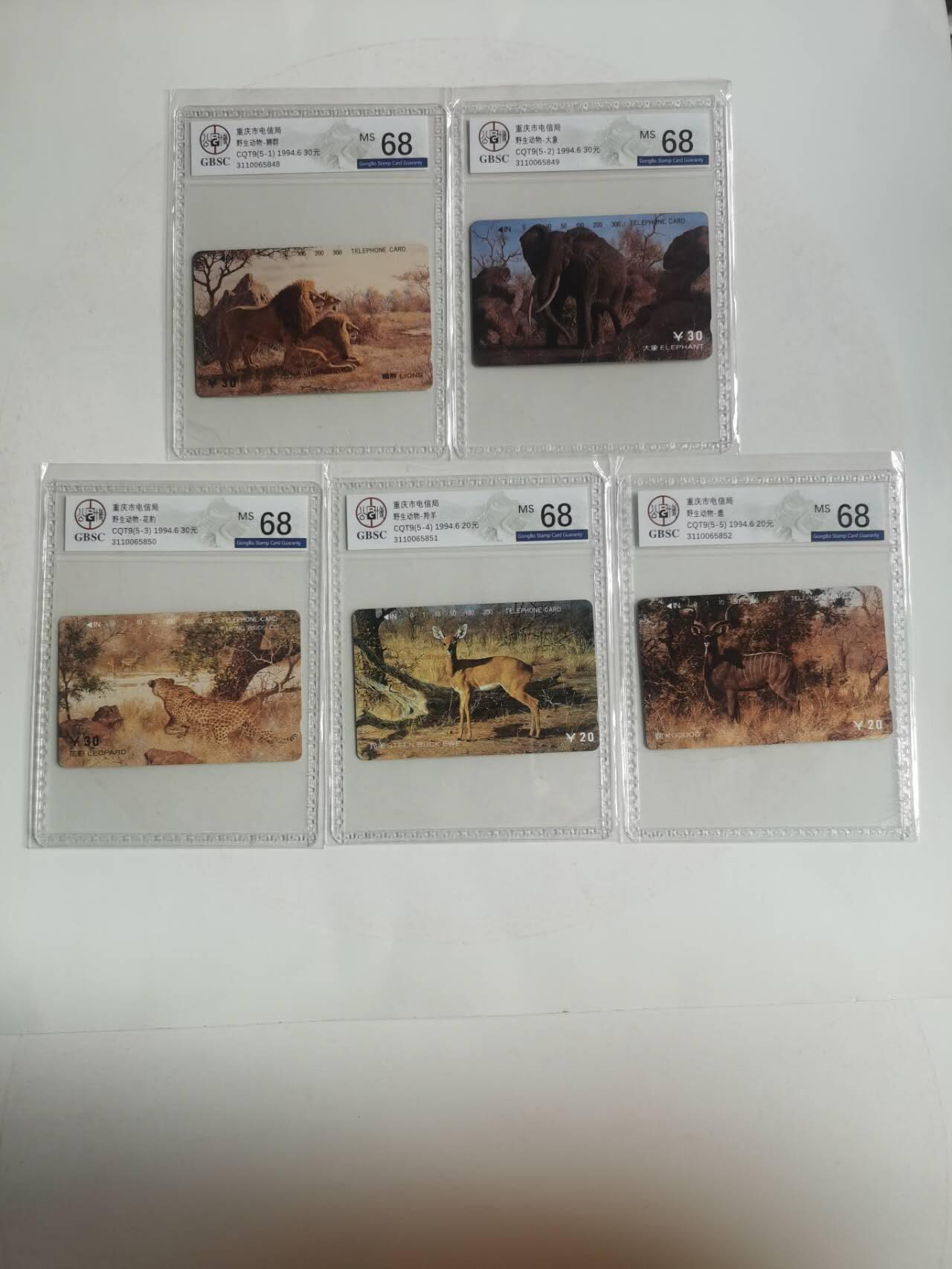 公藏笫126期评级卡拍卖