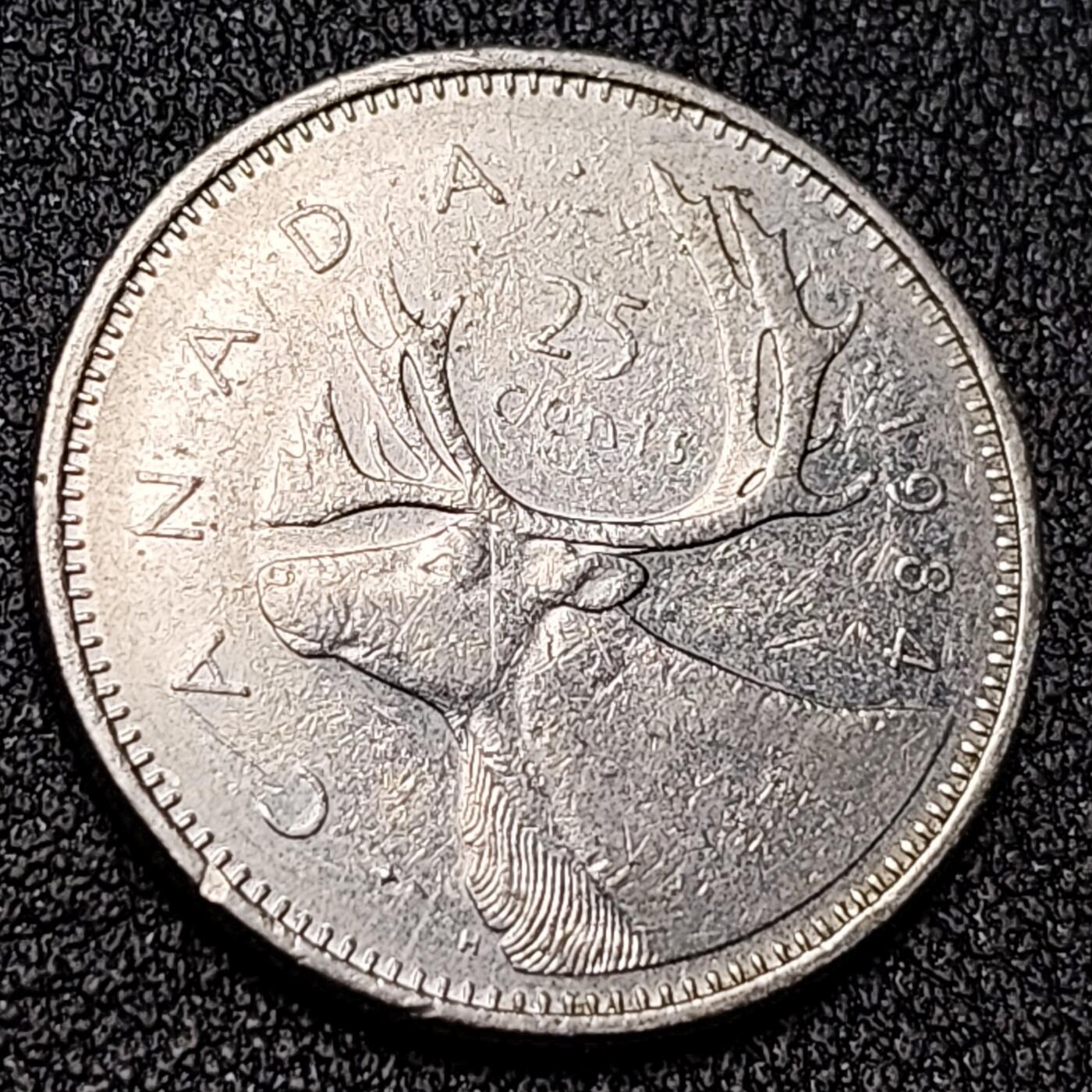 泉币菌-第138场-精品福利场（之前场次29日、30日发货，敬请谅解） 。