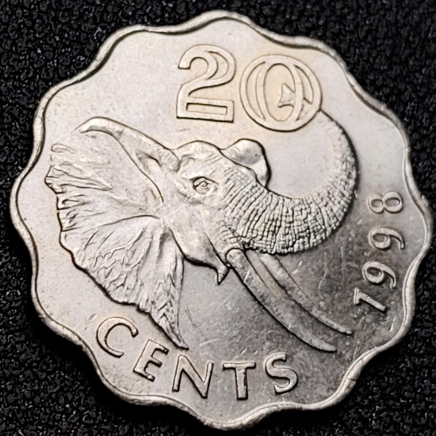 泉币菌-第139场-精品福利场（之前场次29日、30日发货，敬请谅解） 。