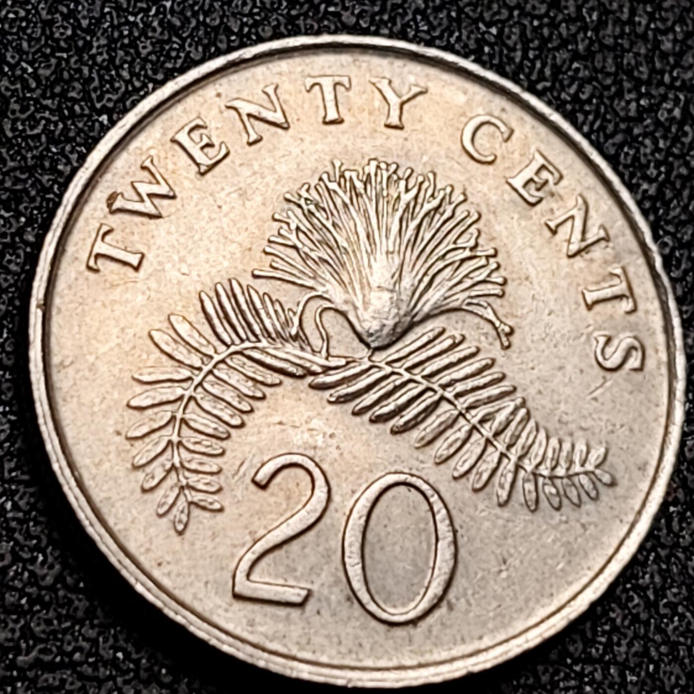 泉币菌-第137场-精品福利场（之前场次29日、30日发货，敬请谅解） 。