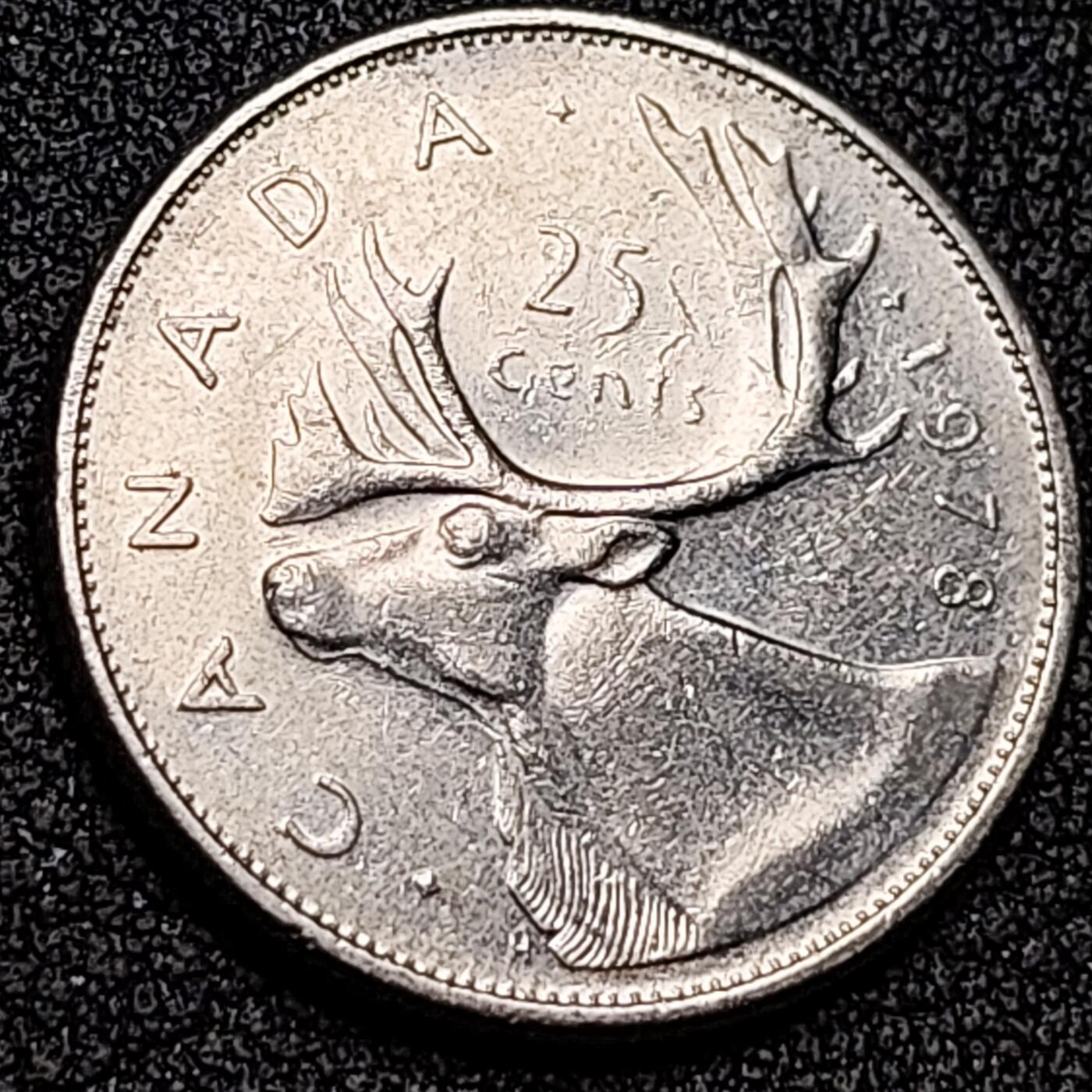 泉币菌-第137场-精品福利场（之前场次29日、30日发货，敬请谅解） 。