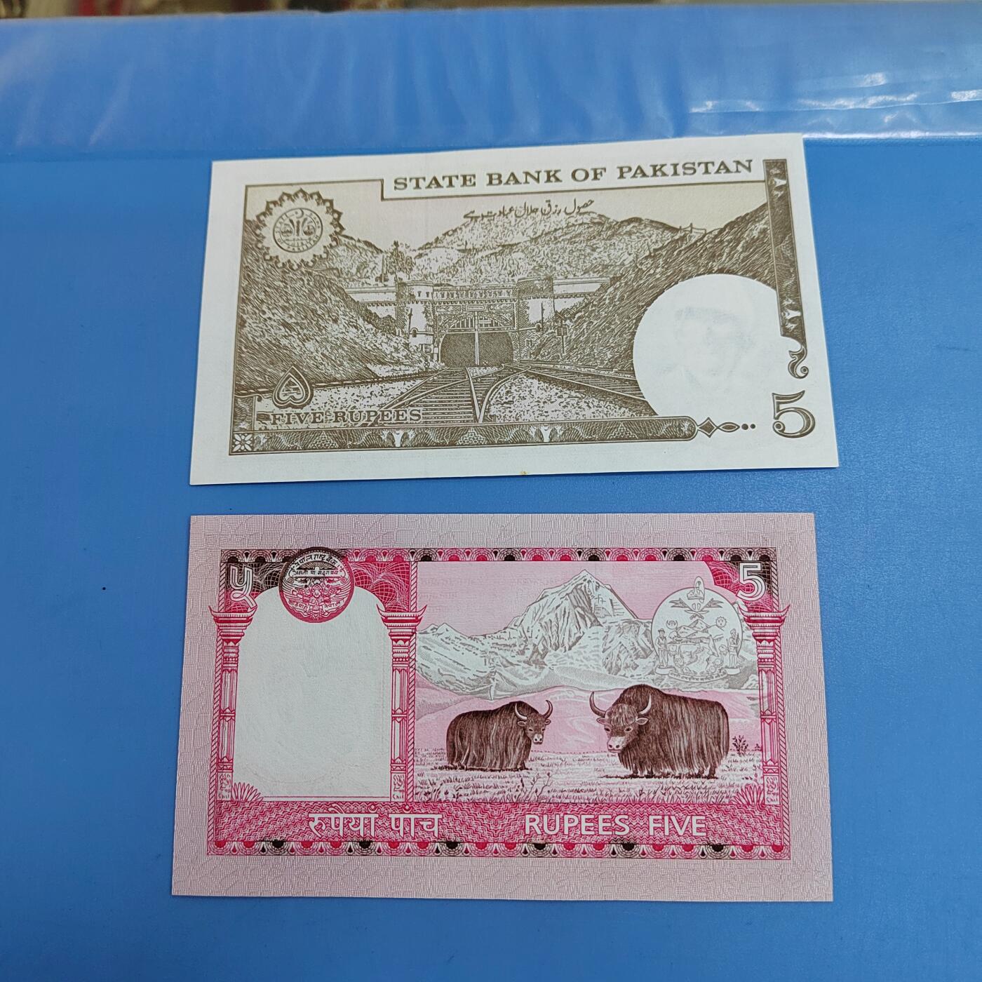 PCAI钱币26-619外国纸币小专场 尼泊尔