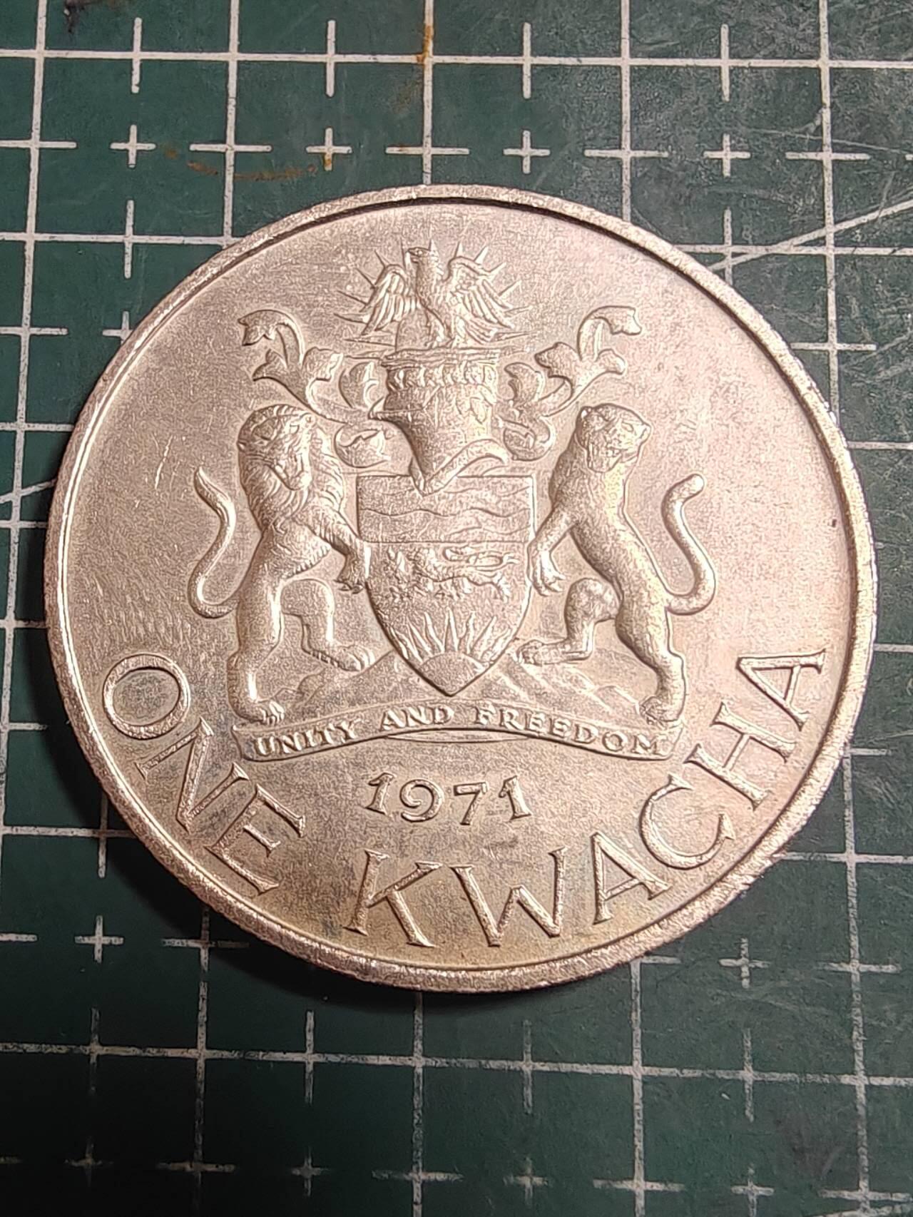 轻松集币无压力