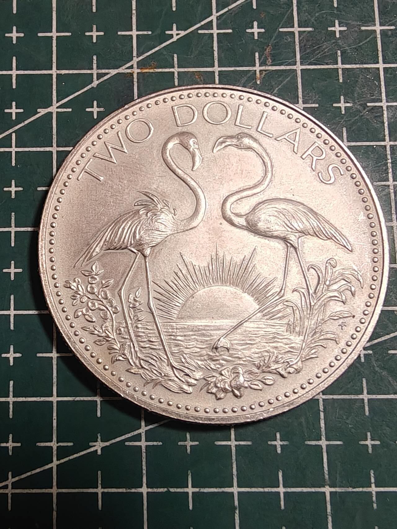 轻松集币无压力