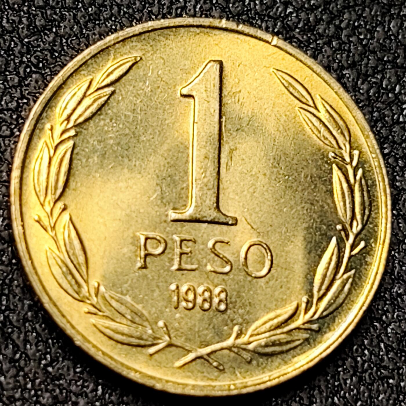 泉币菌-第138场-精品福利场（之前场次29日、30日发货，敬请谅解） 。