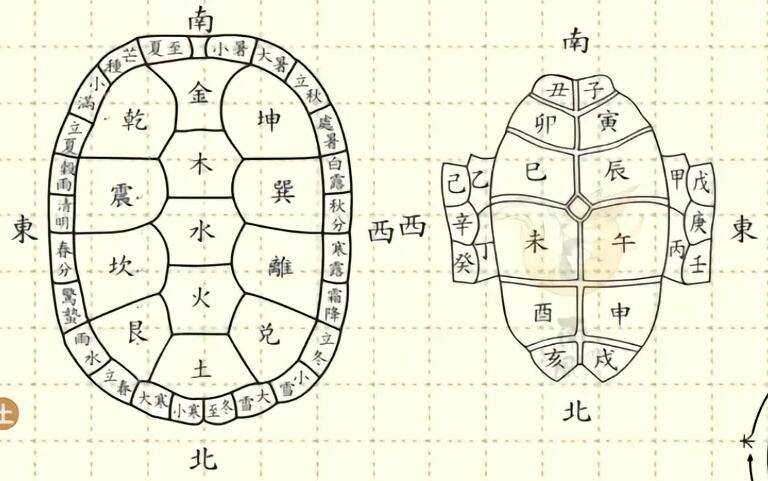 藏珍品阁杂件专场82期 清代卦龟壳，已经玉化