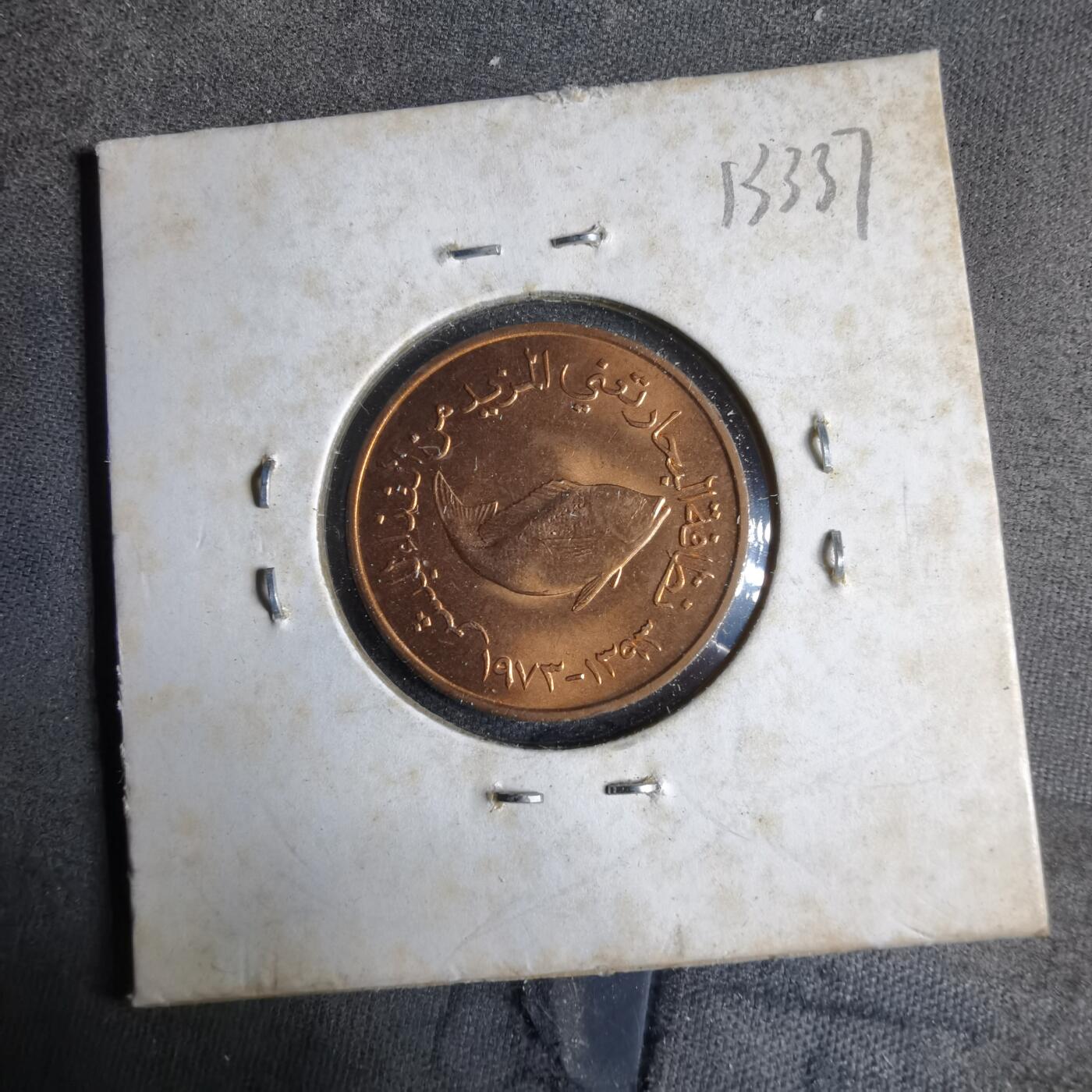 沼泽如烟--第913场 阿联酋