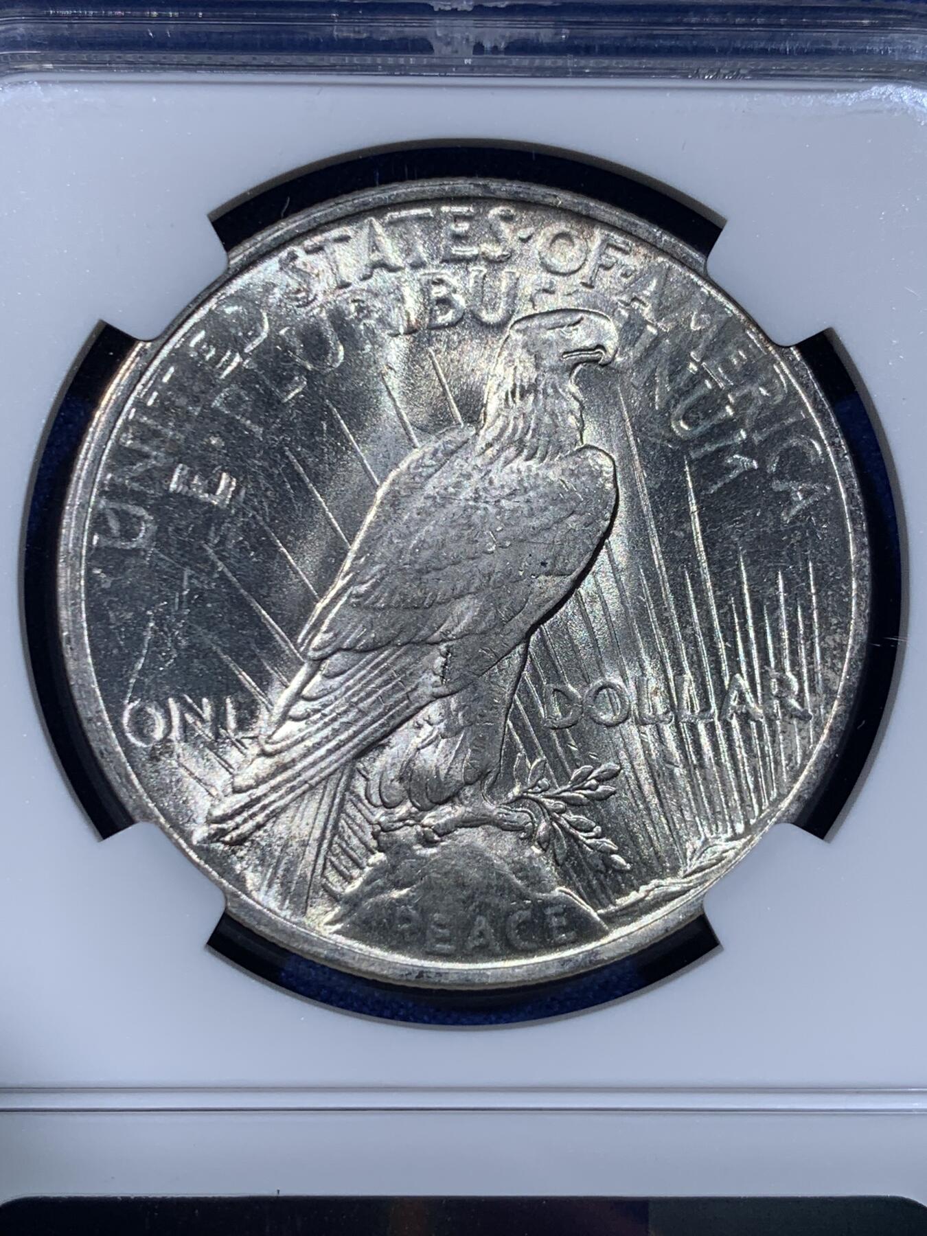 《竞宝斋》第442场 周日，周一，2场连拍 （全场包邮） NGC MS64 美国1923年和平银币，丝滑底板，霜感十足，值得入藏