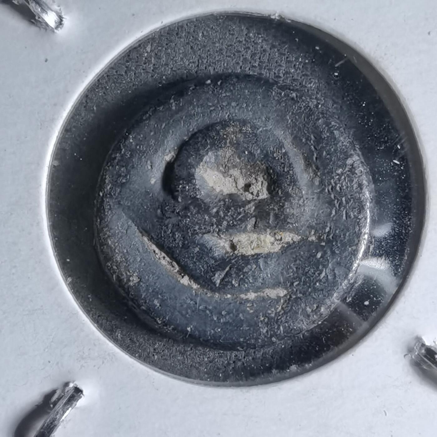 沼泽如烟--第913场 三佛齐王国银币