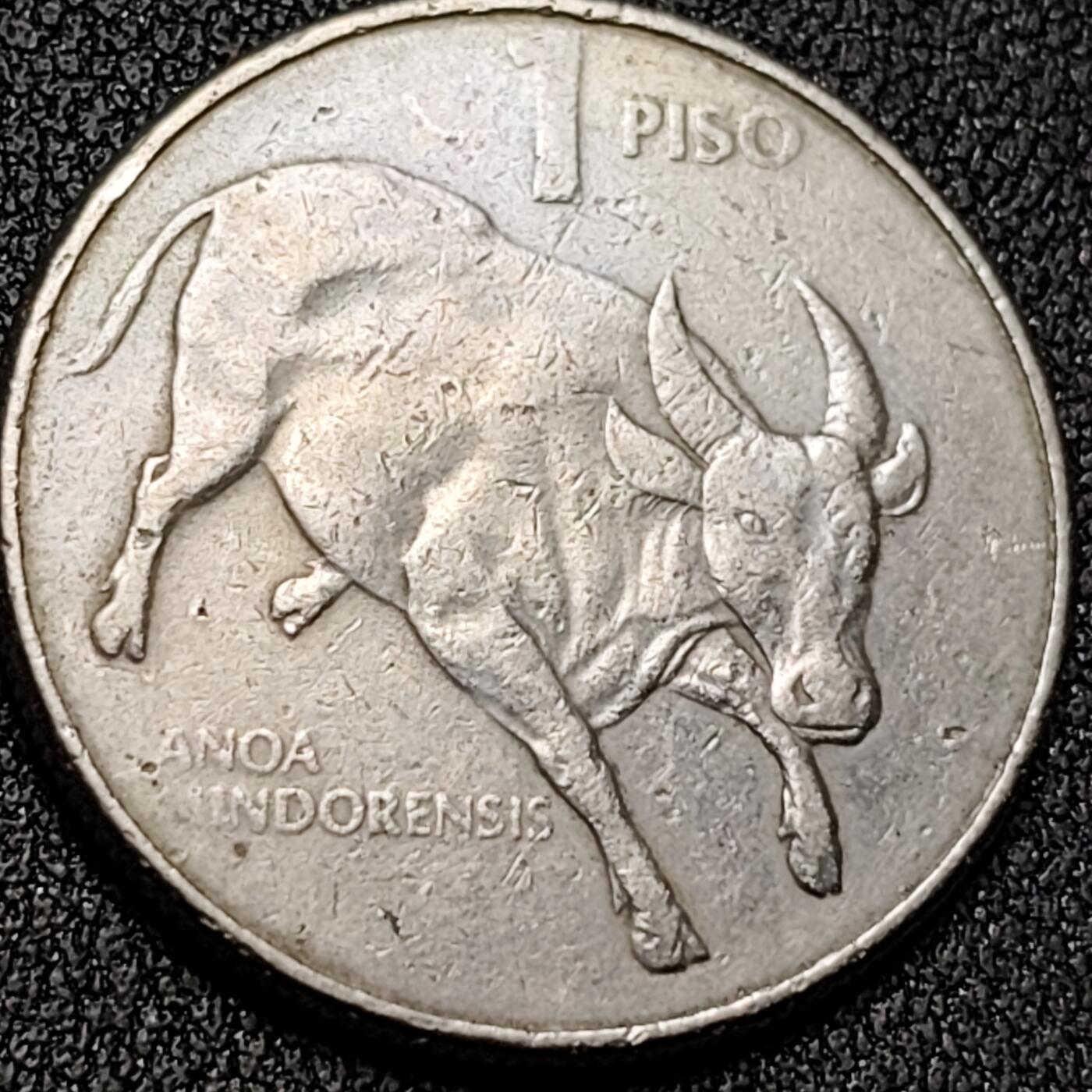 泉币菌-第136场-精品福利场（之前场次29日、30日发货，敬请谅解） 。