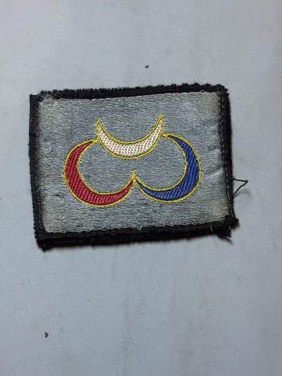 盛世勋华——号角文化勋章邮票专场拍卖第289期 - 法国陆军第3装甲师臂章