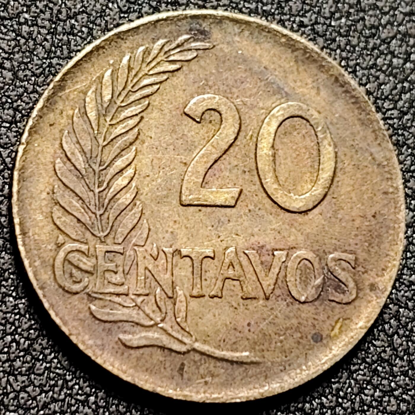 泉币菌-第136场-精品福利场（之前场次29日、30日发货，敬请谅解）  