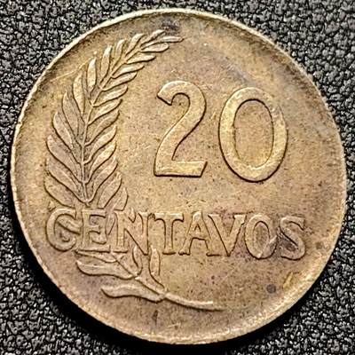 泉币菌-第136场-精品福利场（之前场次29日、30日发货，敬请谅解） -  