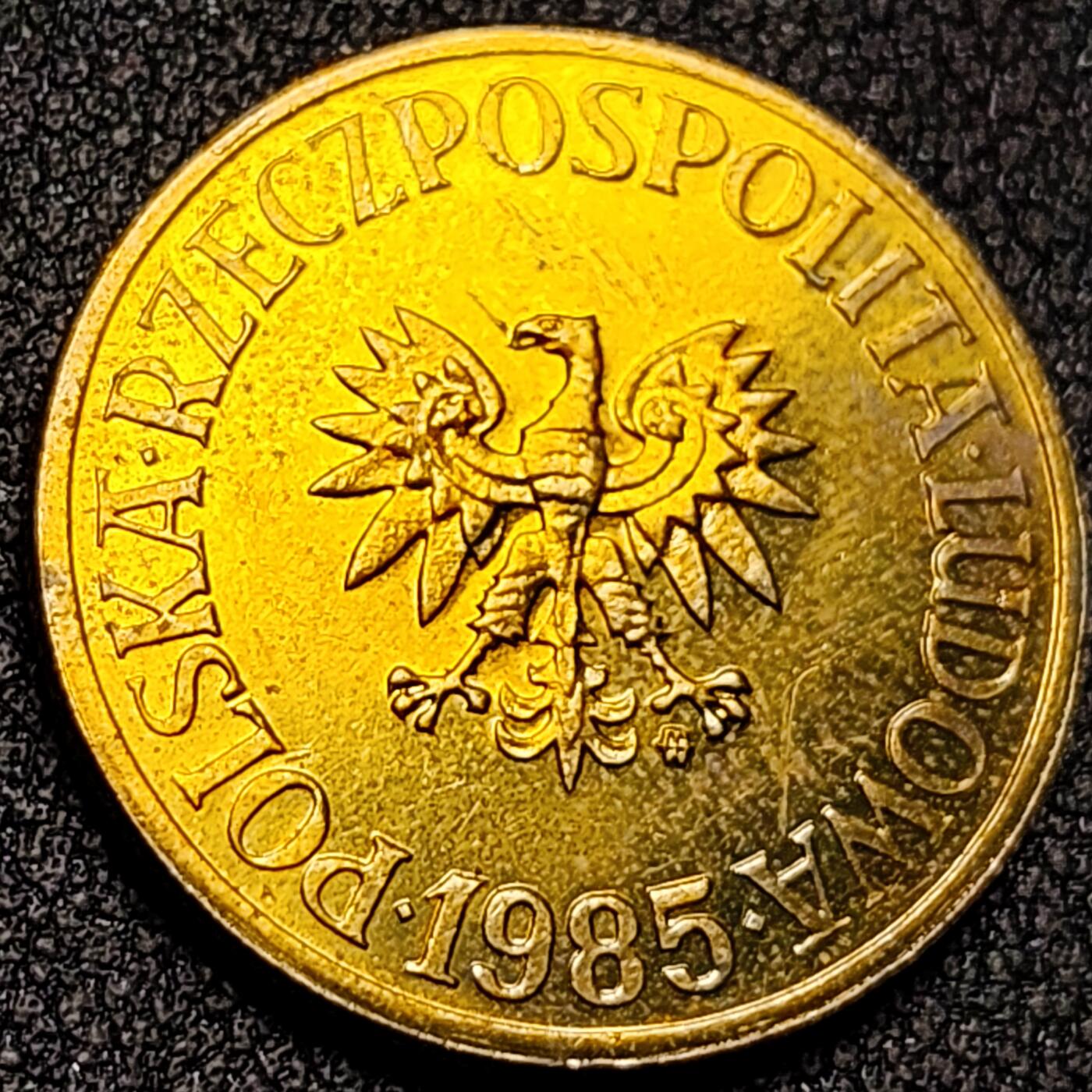 泉币菌-第138场-精品福利场（之前场次29日、30日发货，敬请谅解） 。