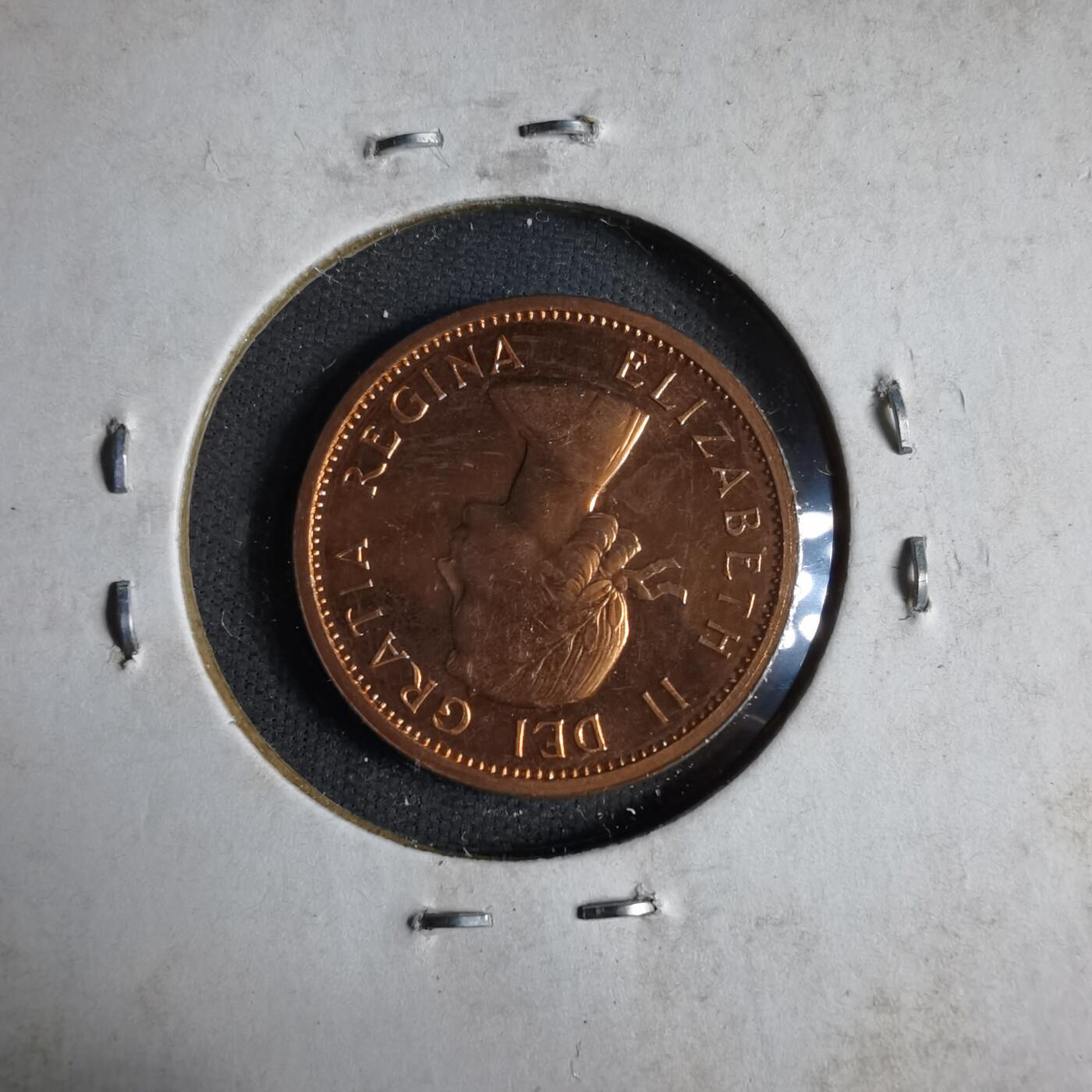 沼泽如烟--第913场