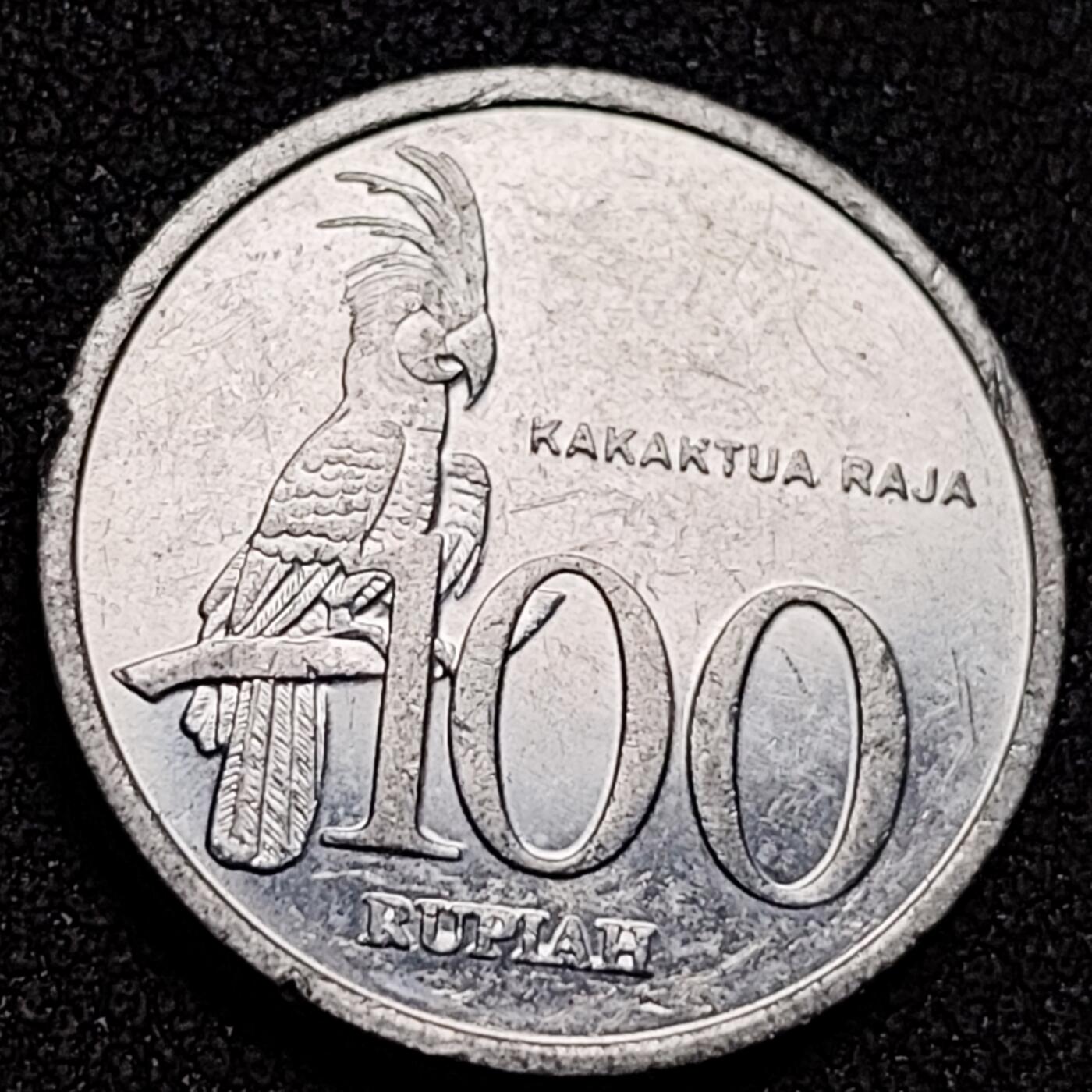 泉币菌-第136场-精品福利场（之前场次29日、30日发货，敬请谅解） 。