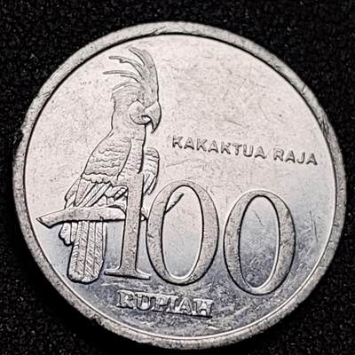 泉币菌-第136场-精品福利场（之前场次29日、30日发货，敬请谅解） - 。