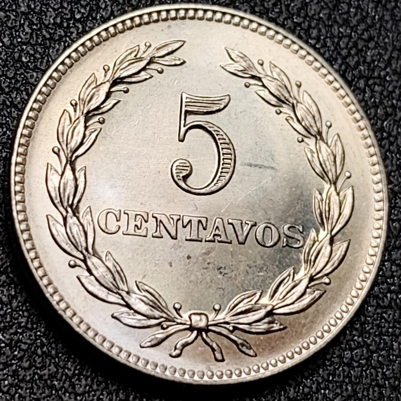 泉币菌-第137场-精品福利场（之前场次29日、30日发货，敬请谅解） 。