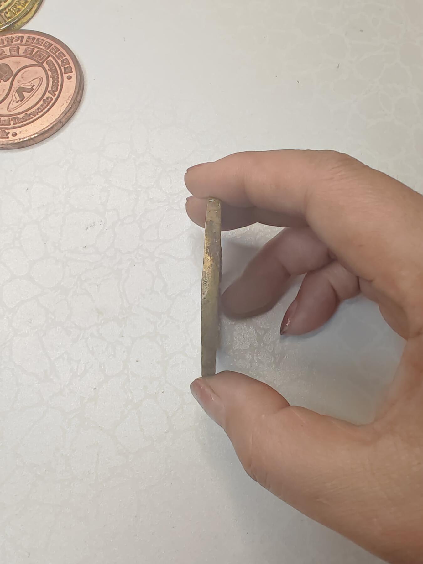 朝鲜1998年第10届世界跆拳道锦标赛纪念章