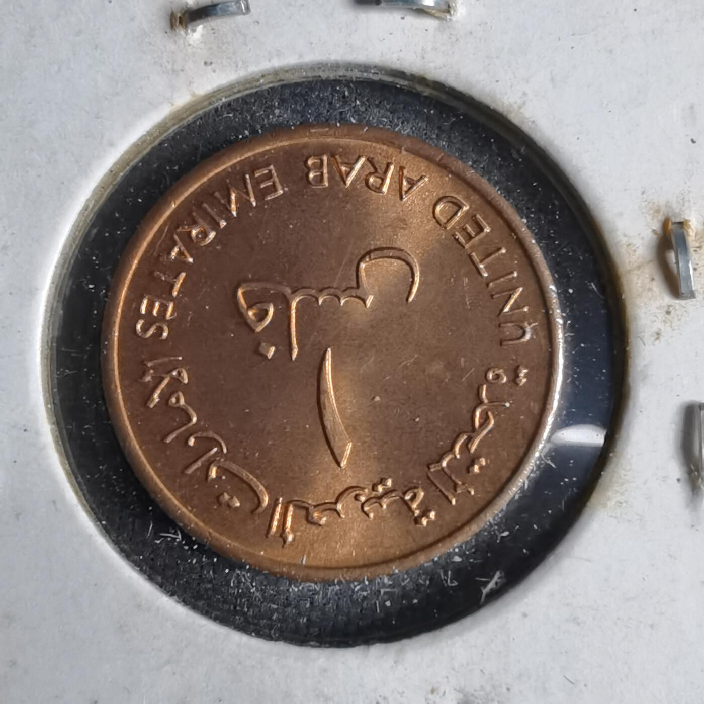 沼泽如烟--第913场 阿联酋