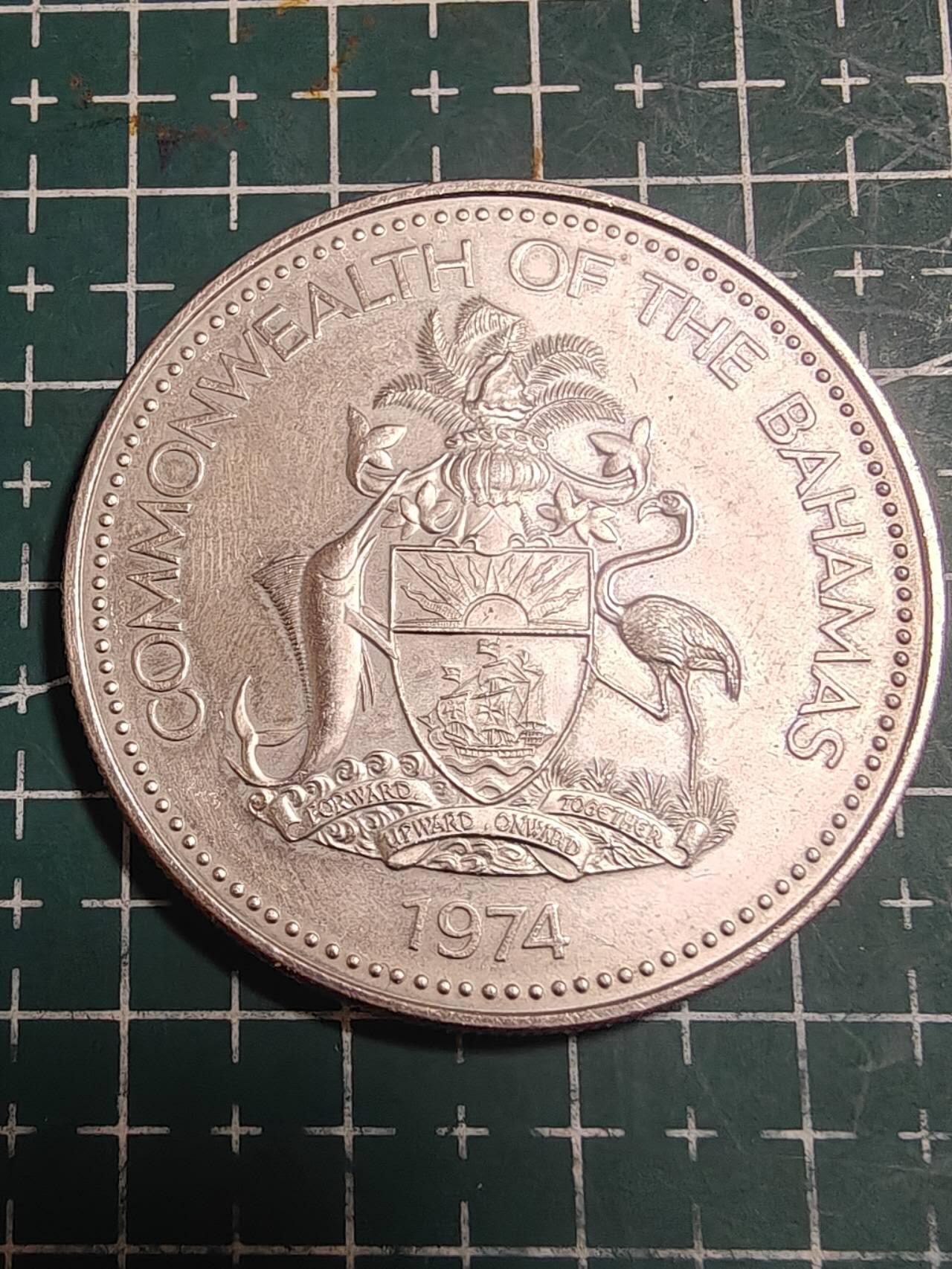 轻松集币无压力