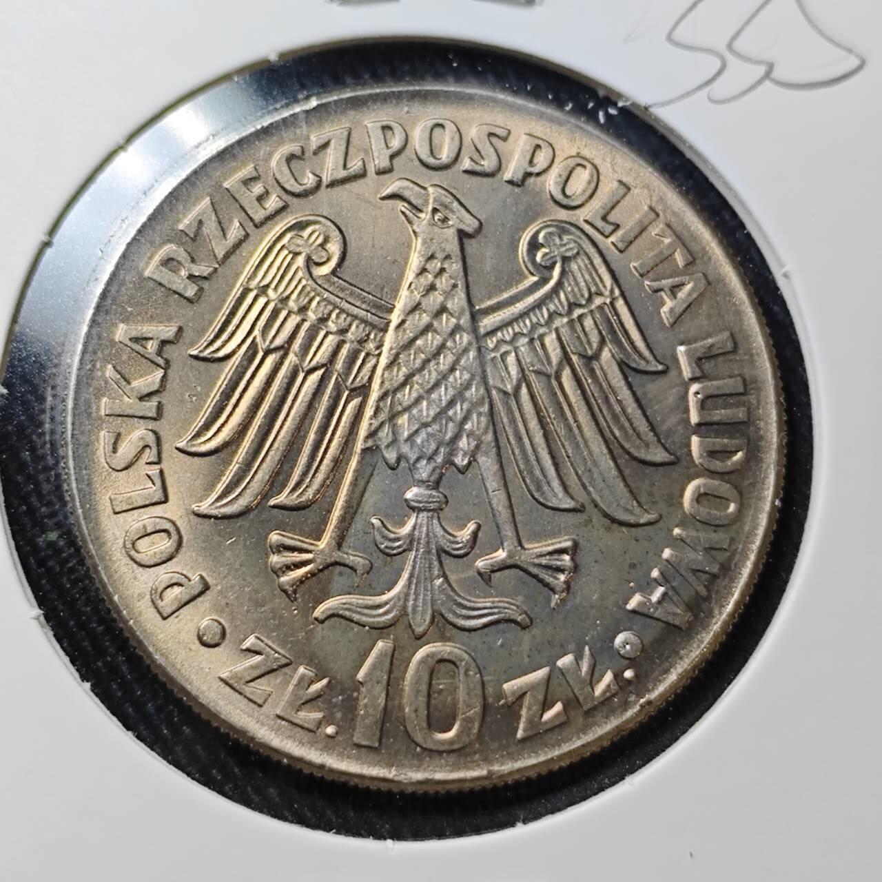 KK钱币收藏小铺 （套币 好品/批量散币 银币）专场  2月预留时间 周末发货  1964波兰10兹罗提纪念币 好品