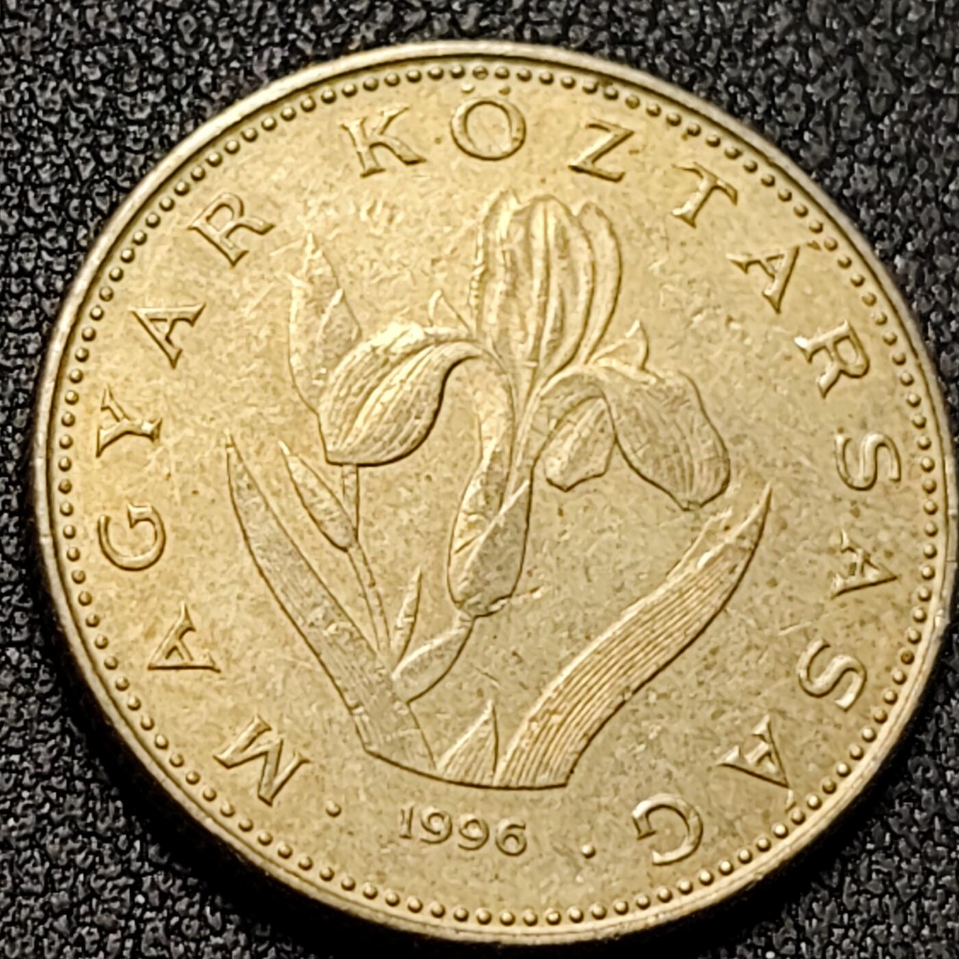 泉币菌-第137场-精品福利场（之前场次29日、30日发货，敬请谅解） 。