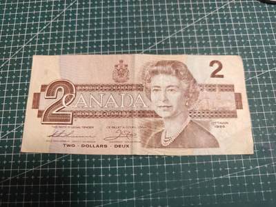 轻松集币无压力 - 加拿大鸟版元