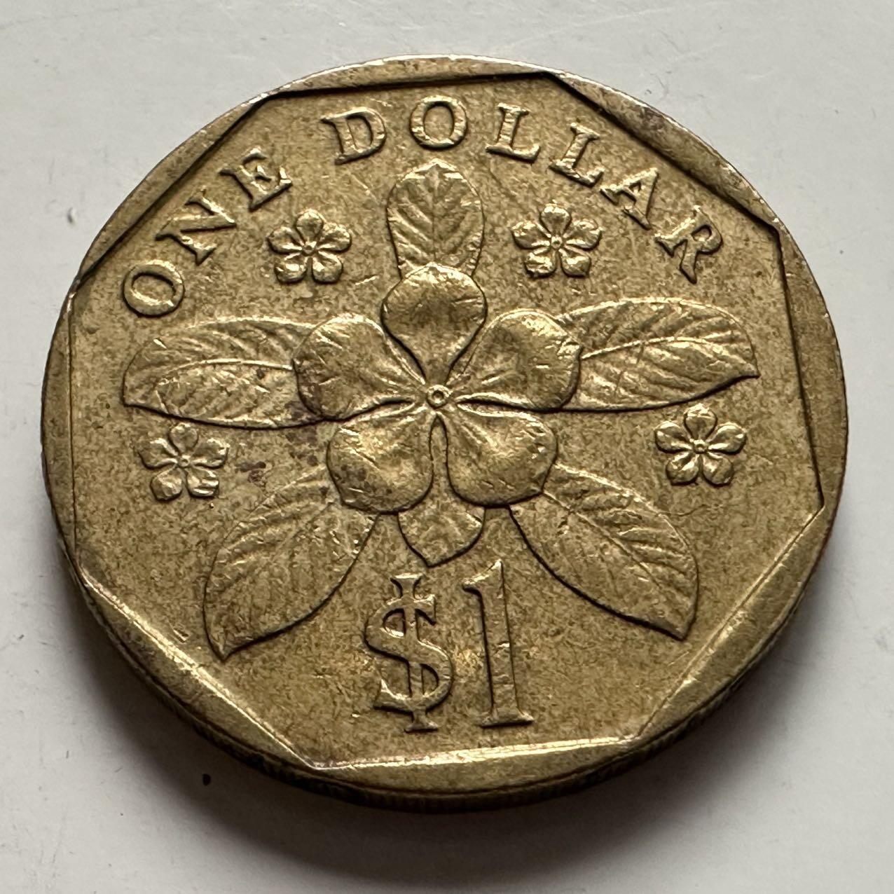 🌹外币初藏🌹🐯2025年第132场  每周二四六晚8️⃣点 接代拍 新加坡1989年¥1