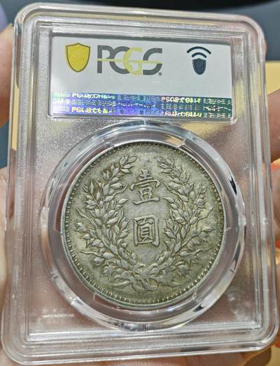 币然PCGS机制币专场 PCGS XF45原味九精满发丝