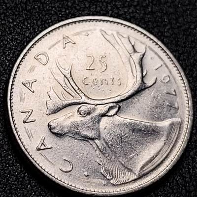 泉币菌-第136场-精品福利场（之前场次29日、30日发货，敬请谅解） - 。