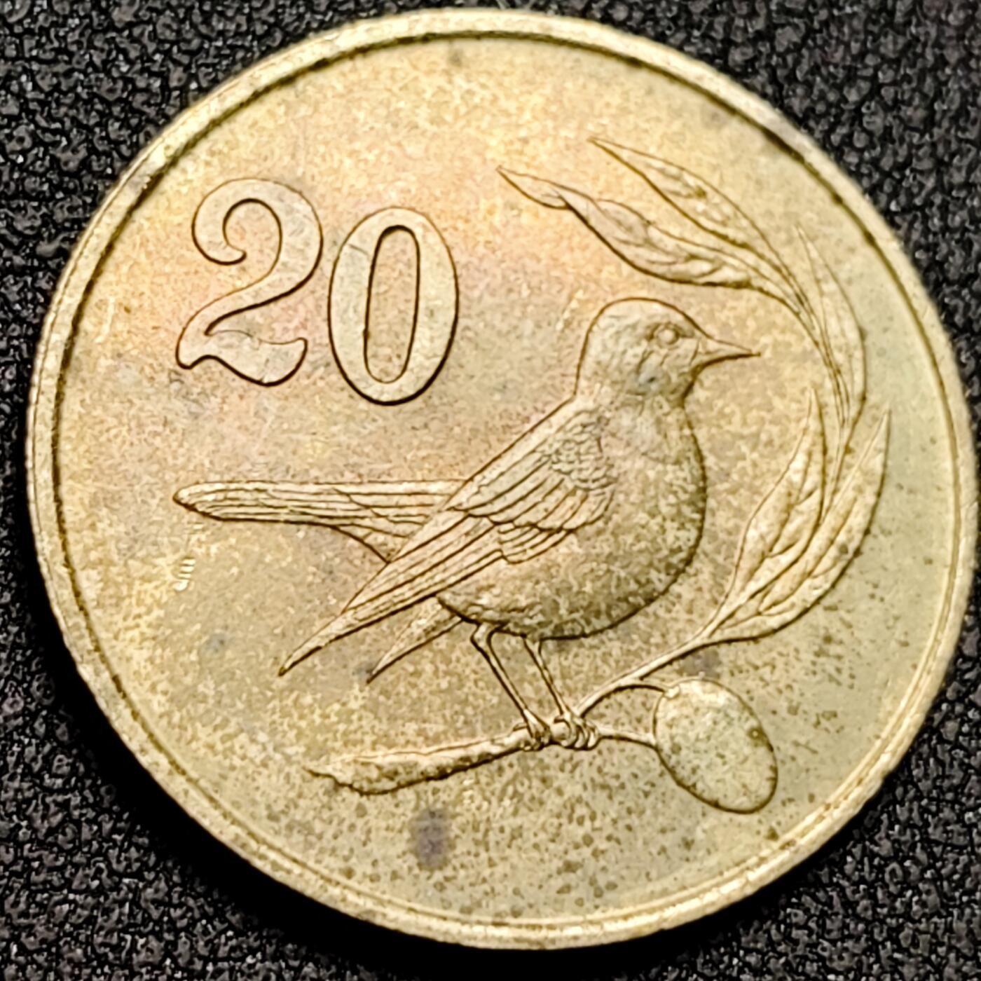 泉币菌-第136场-精品福利场（之前场次29日、30日发货，敬请谅解） 。