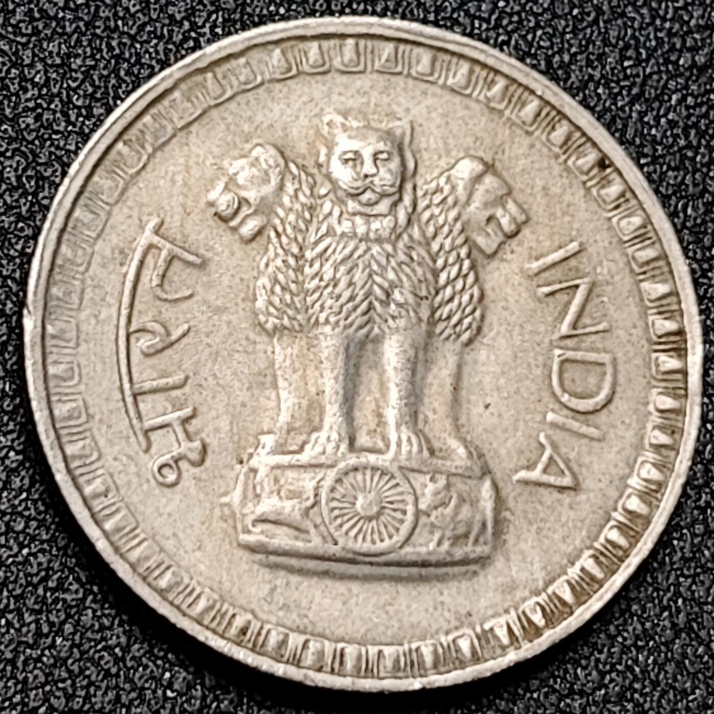 泉币菌-第137场-精品福利场（之前场次29日、30日发货，敬请谅解） 。