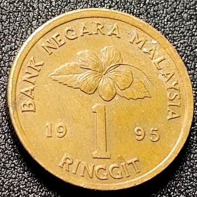 泉币菌-第137场-精品福利场（之前场次29日、30日发货，敬请谅解） - 。