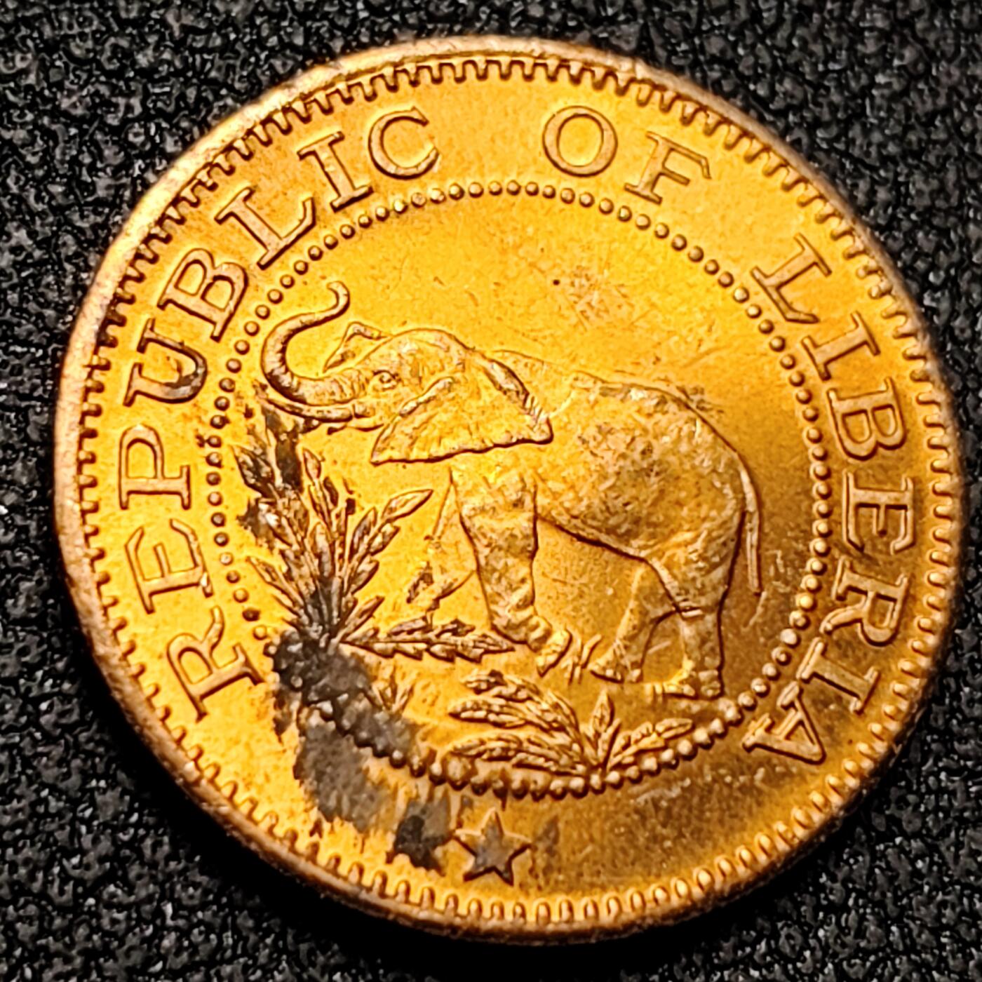 泉币菌-第138场-精品福利场（之前场次29日、30日发货，敬请谅解） 。