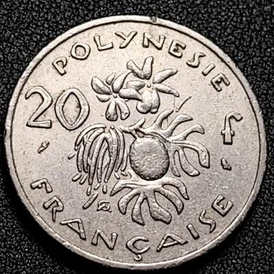 泉币菌-第137场-精品福利场（之前场次29日、30日发货，敬请谅解） - 。