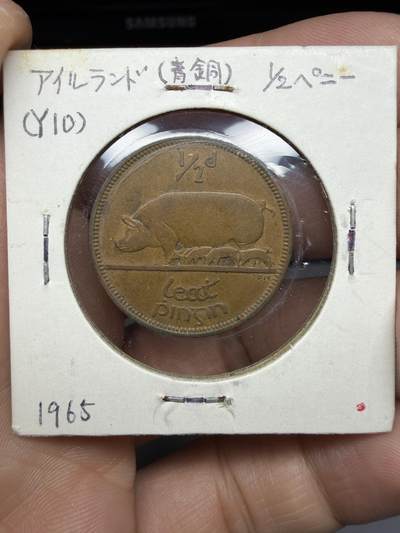 2025年集古藏今外币拍卖第十期-第9场—（总第289拍），可以寄存60天，满160元包邮。 - 1965年爱尔兰1/2便士